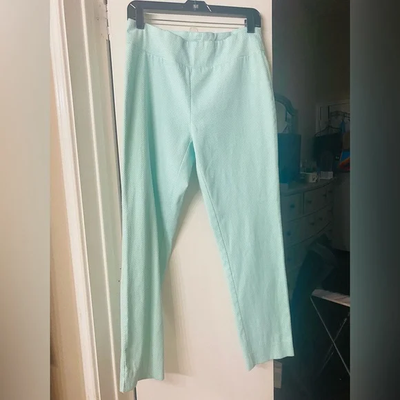Mint Green Poppy Seed Seersucker Feel Pull Up Pant Size M Melissa Paige Crisp - Picture 3 of 10